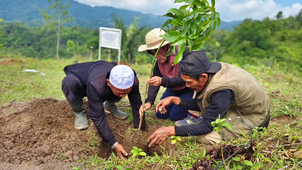 Telkom Aktif Lakukan Penanaman Bibit Pohon di Berbagai Daerah